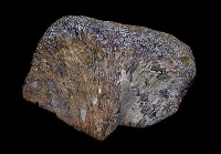 藏品(碎骨一塊)的圖片